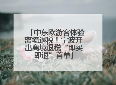 中东欧游客体验离境退税！宁波开出离境退税“即买即退”首单
